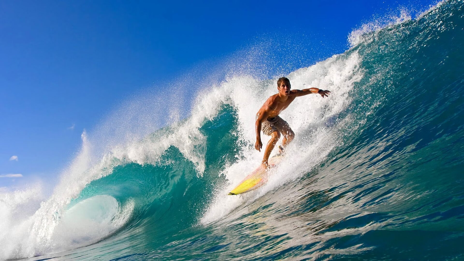 亚洲田径锦标赛落幕 中国军团斩获五金创历史佳绩